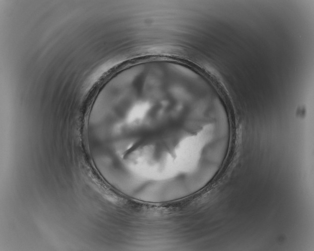 X0000111821019200908131518