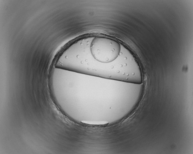 X0000111821020200908131518