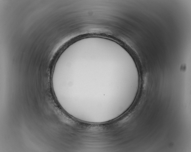 X0000111821021200908131518