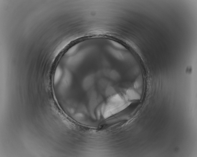 X0000111821023200908131518