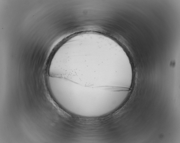 X0000111821024200908131518