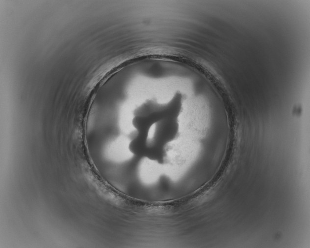 X0000111821025200908131518