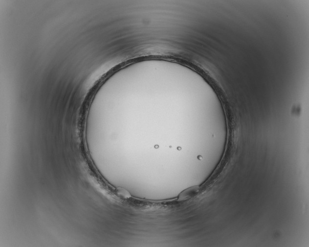 X0000111821026200908131518