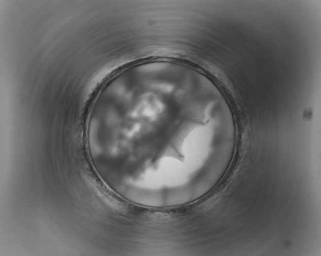 X0000111821027200908131518