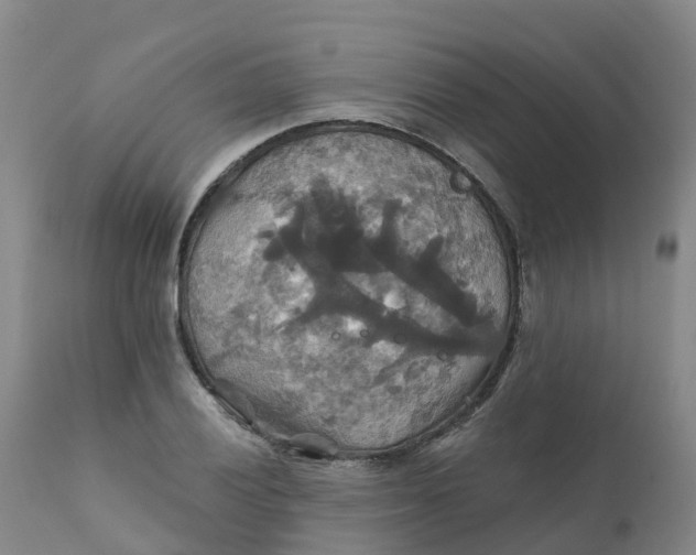 X0000111821028200908131518