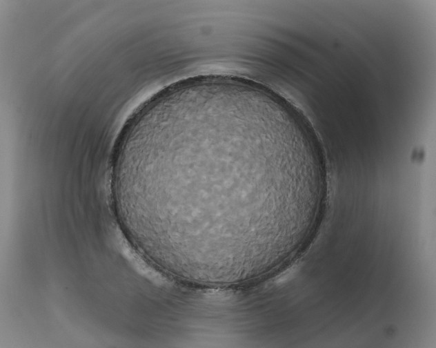 X0000111821029200908131518