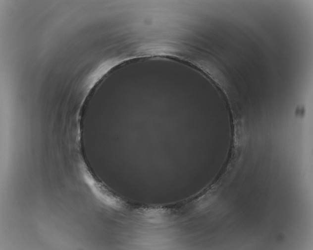 X0000111821031200908131518