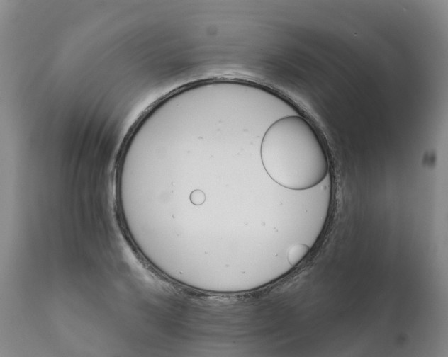 X0000111821032200908131518