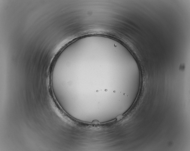 X0000111821034200908131518