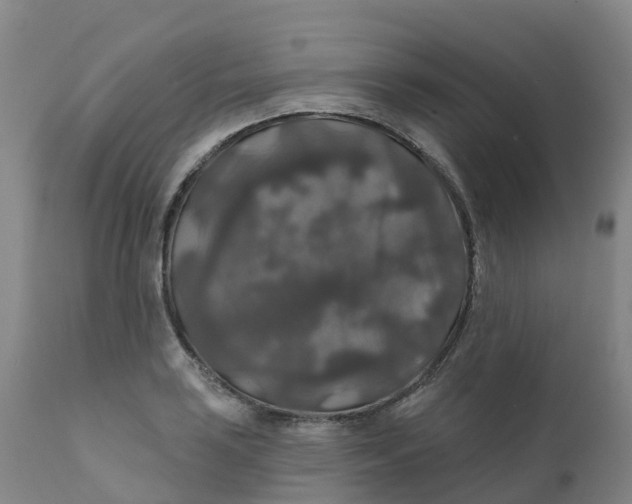 X0000111821035200908131518