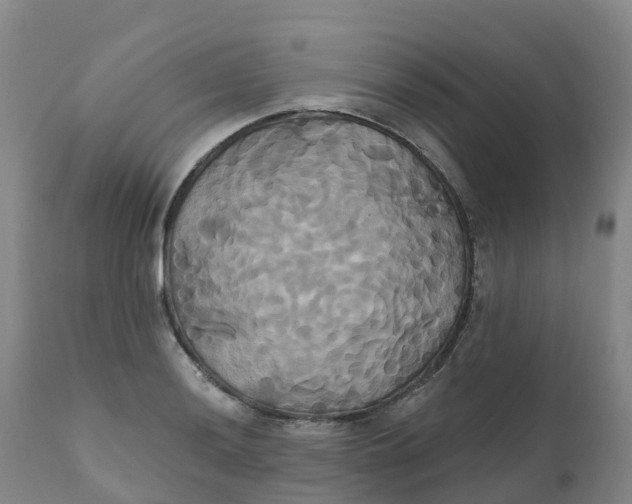 X0000111821036200908131518