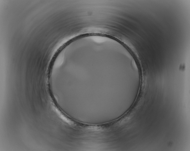 X0000111821037200908131518