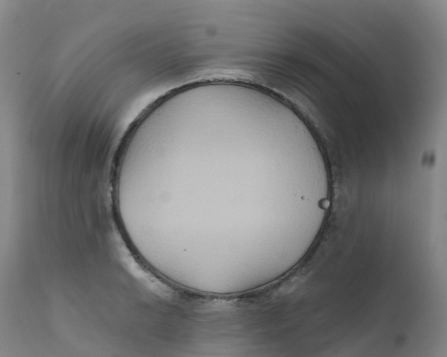 X0000111821038200908131518