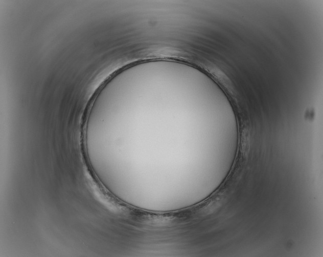 X0000111821039200908131518