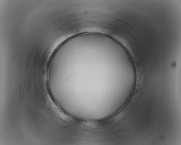 X0000111821040200908131518