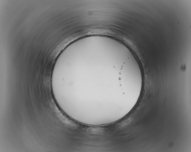 X0000111821041200908131518