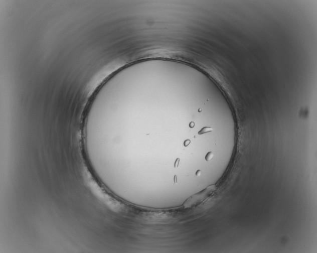 X0000111821042200908131518