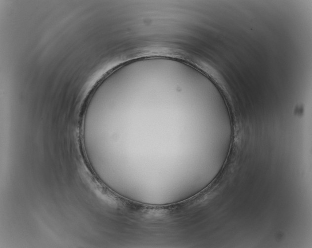 X0000111821043200908131518