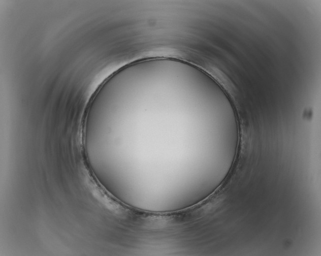 X0000111821044200908131518