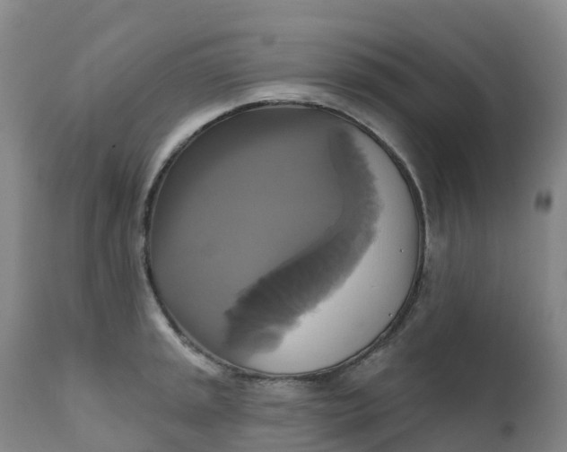 X0000111821045200908131518