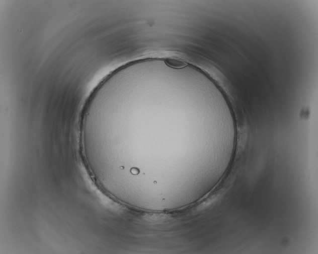 X0000111821046200908131518