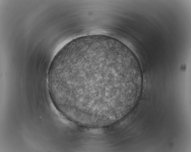 X0000111821047200908131518