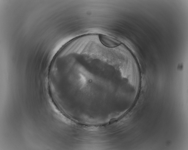 X0000111821048200908131518