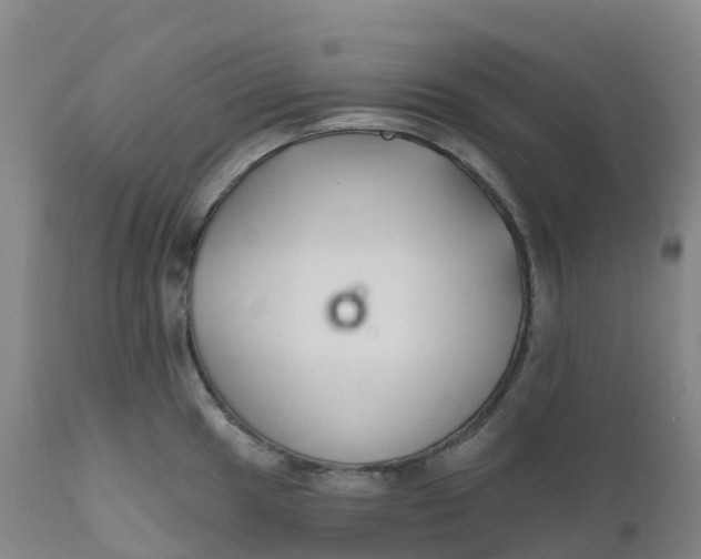 X0000111821049200908131518