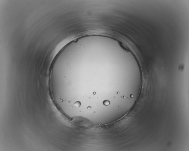 X0000111821050200908131518