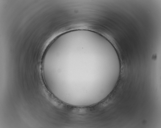 X0000111821051200908131518