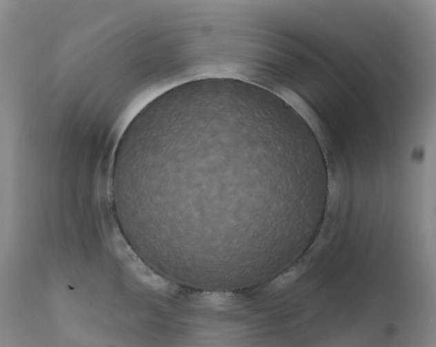 X0000111821052200908131518