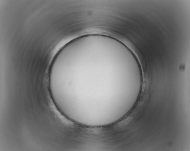 X0000111821053200908131518