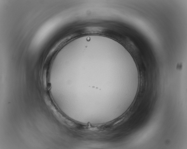 X0000111821054200908131518