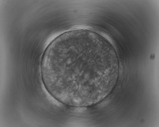 X0000111821055200908131518