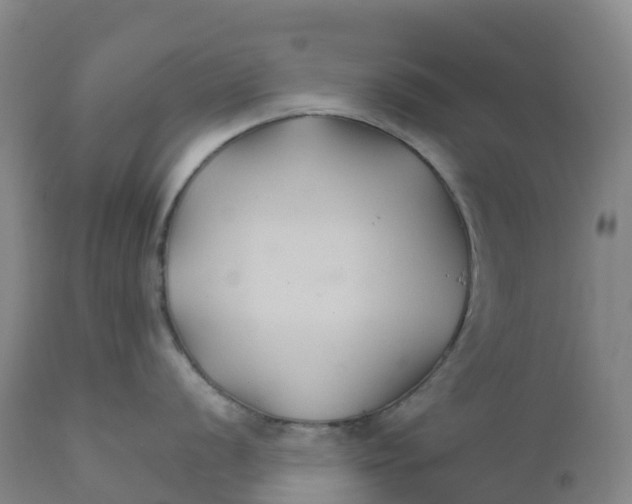 X0000111821056200908131518