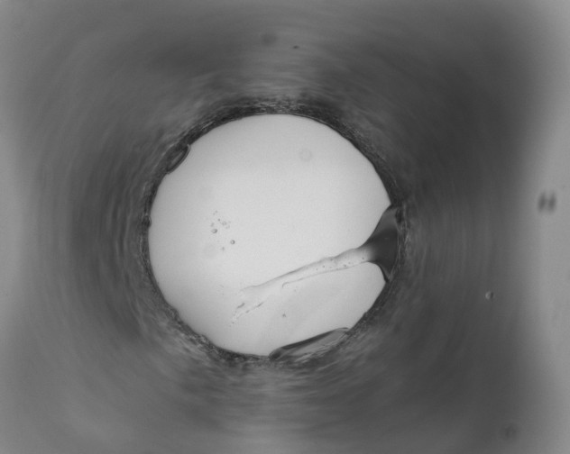 X0000111821057200908131518