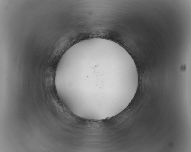 X0000111821058200908131518