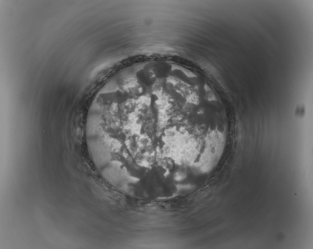 X0000111821063200908131518