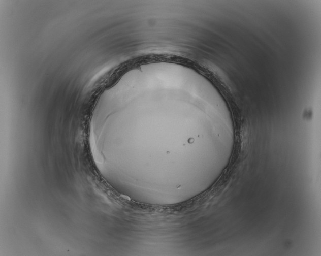 X0000111821064200908131518