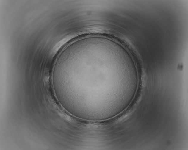 X0000111821065200908131518