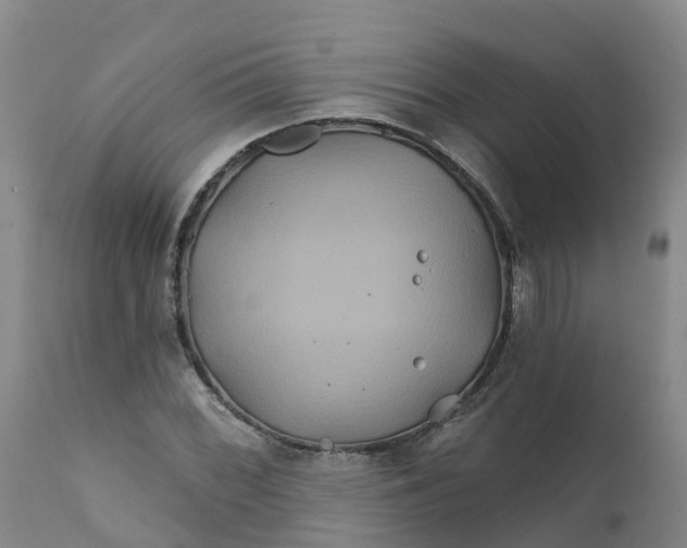 X0000111821068200908131518