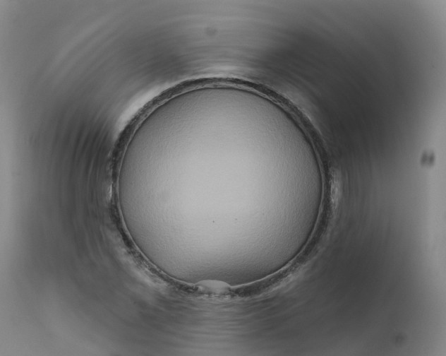 X0000111821069200908131518