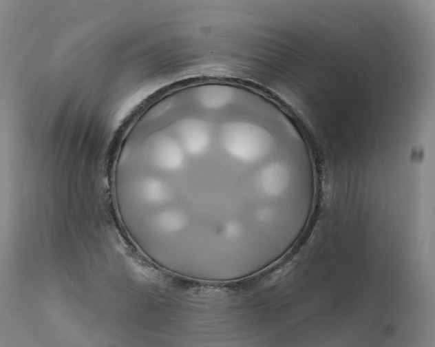 X0000111821070200908131518