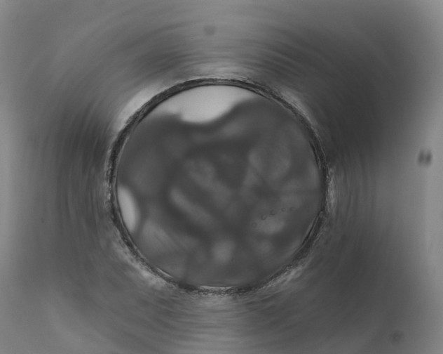 X0000111821071200908131518