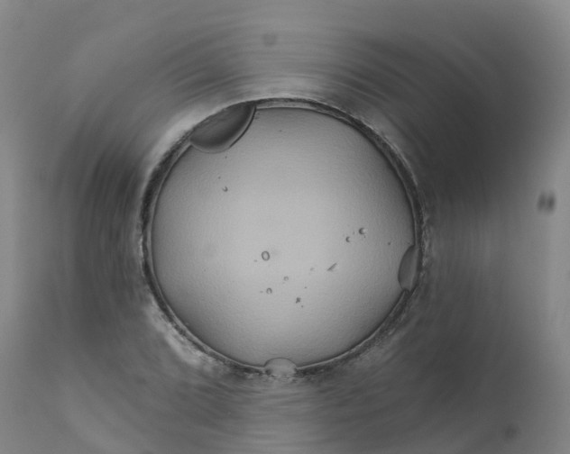 X0000111821072200908131518