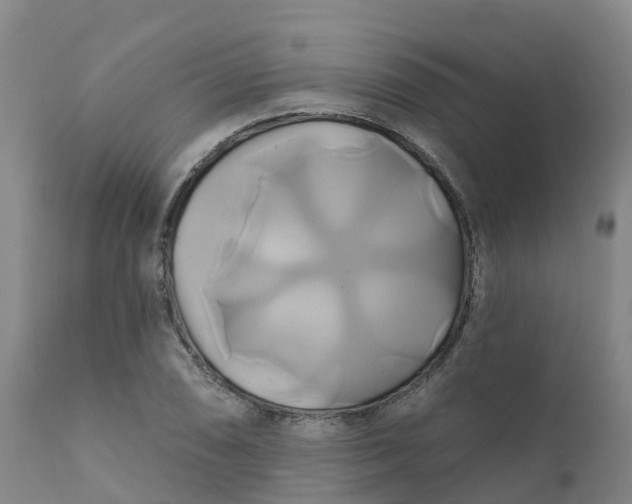 X0000111821074200908131517