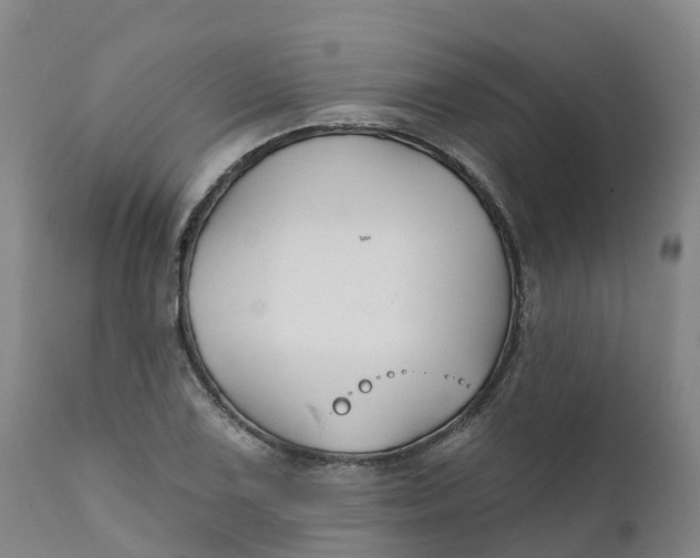 X0000111821075200908131517