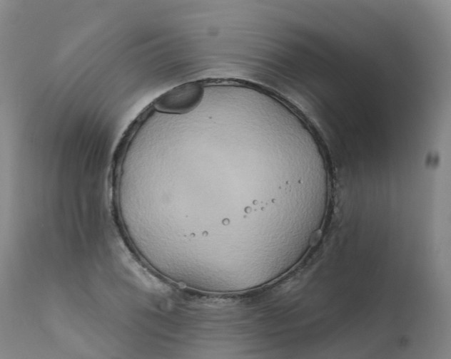 X0000111821076200908131517