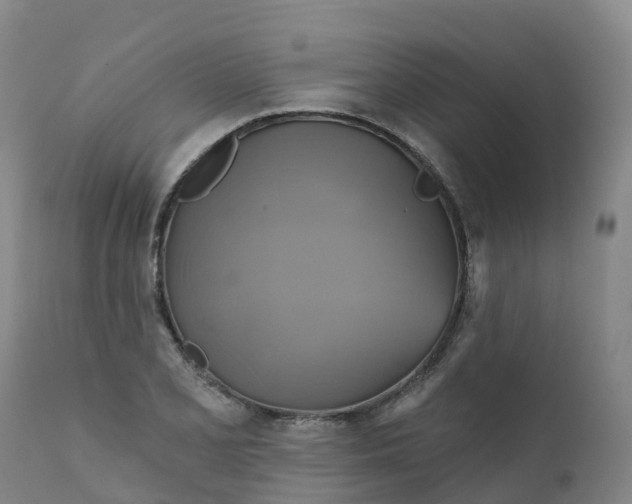 X0000111821077200908131517