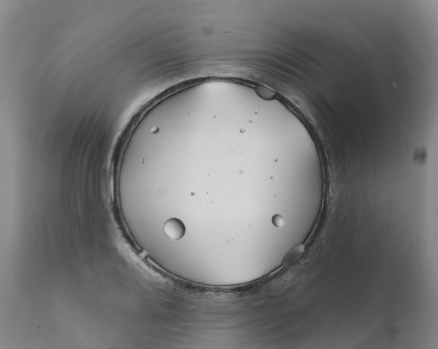 X0000111821080200908131517